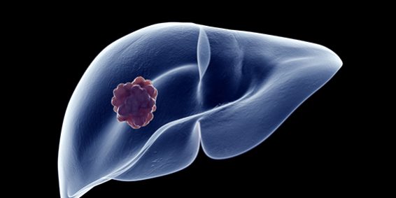 shutterstock_1482592592